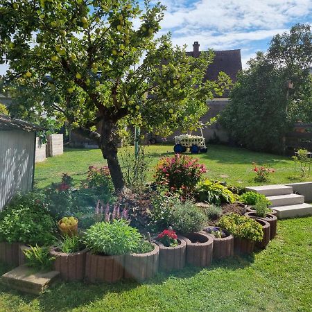 Wohnung Im Schoenen Fichtelgebirge Marktredwitz Dış mekan fotoğraf